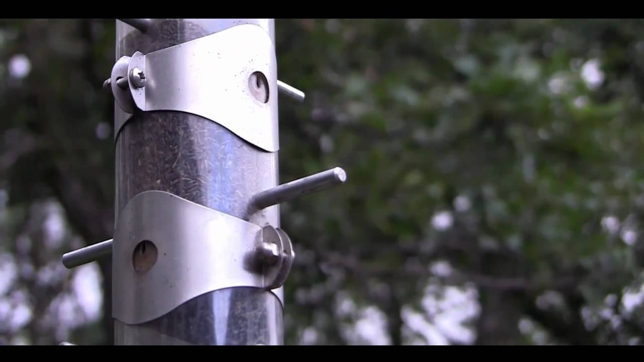 Canon Vixia HF S20 Test Footage