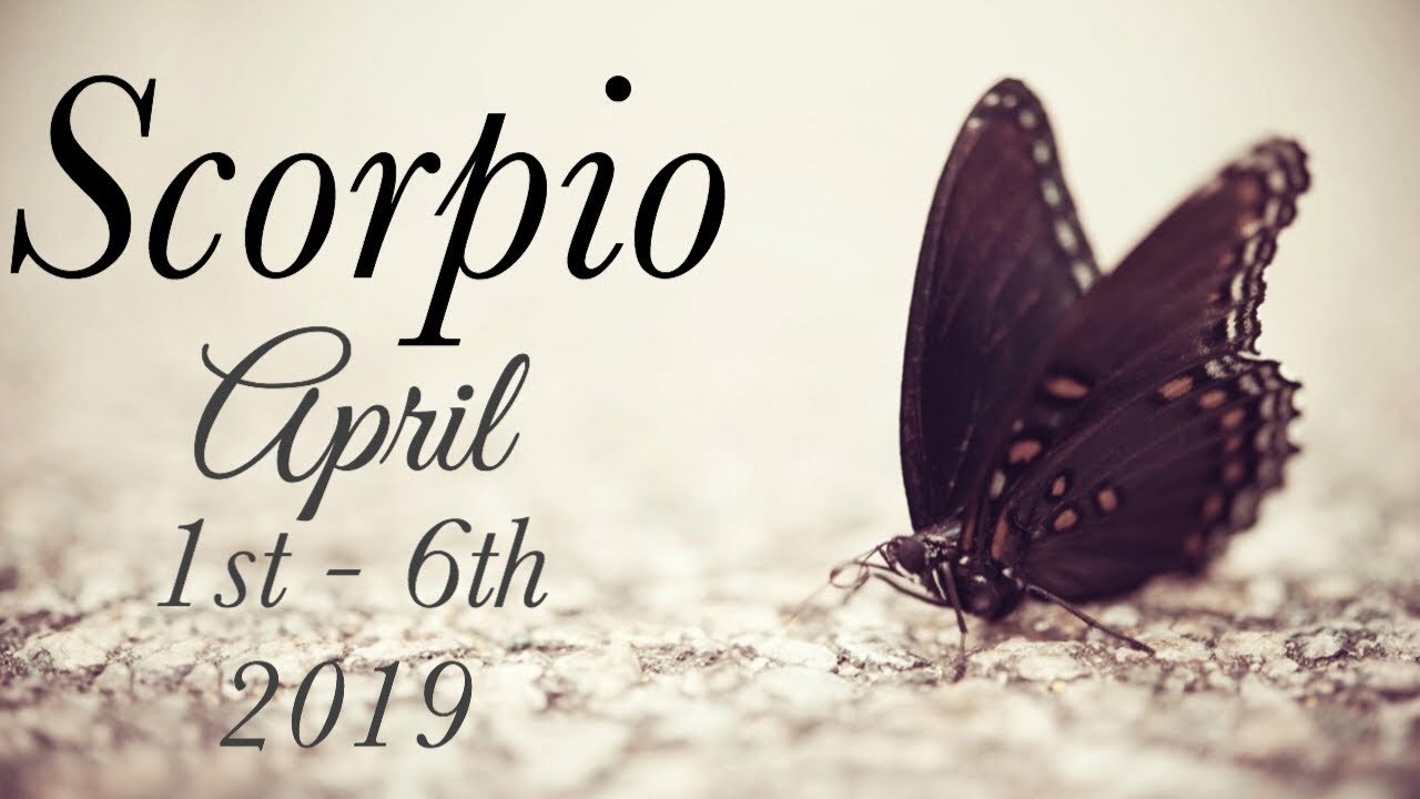 SCORPIO APRIL 1st - 6th | THEY'VE BEEN WATCHING YOU ELEVATE - Scorpio Tarot Love Reading