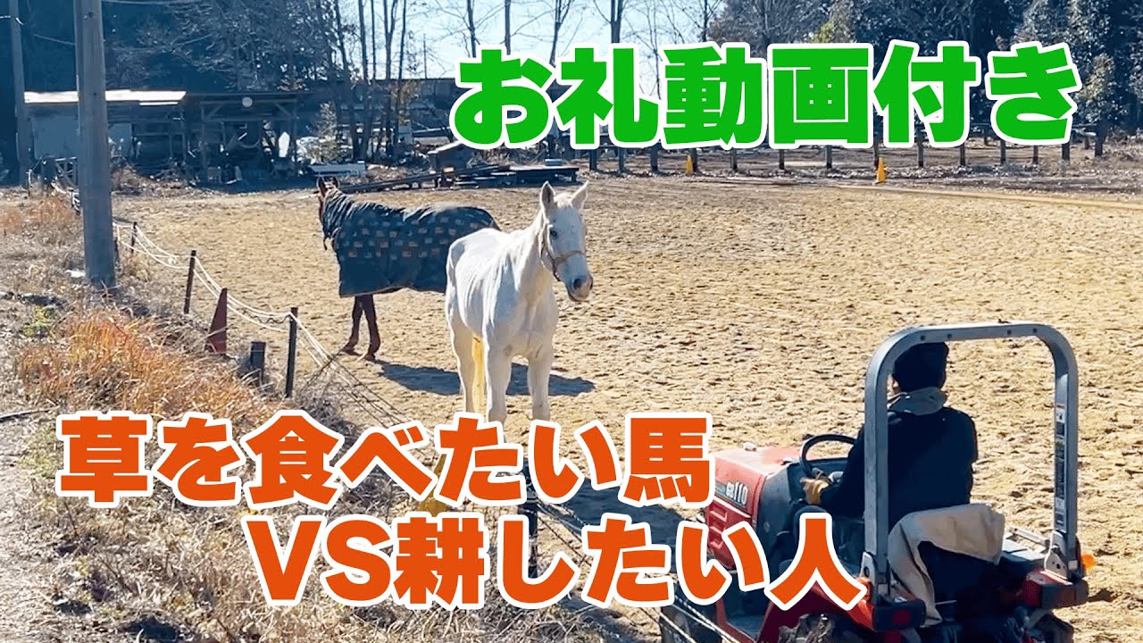 【二本立て】草を食べたい馬VS馬場を耕したい人【スパサンおやつタイム】