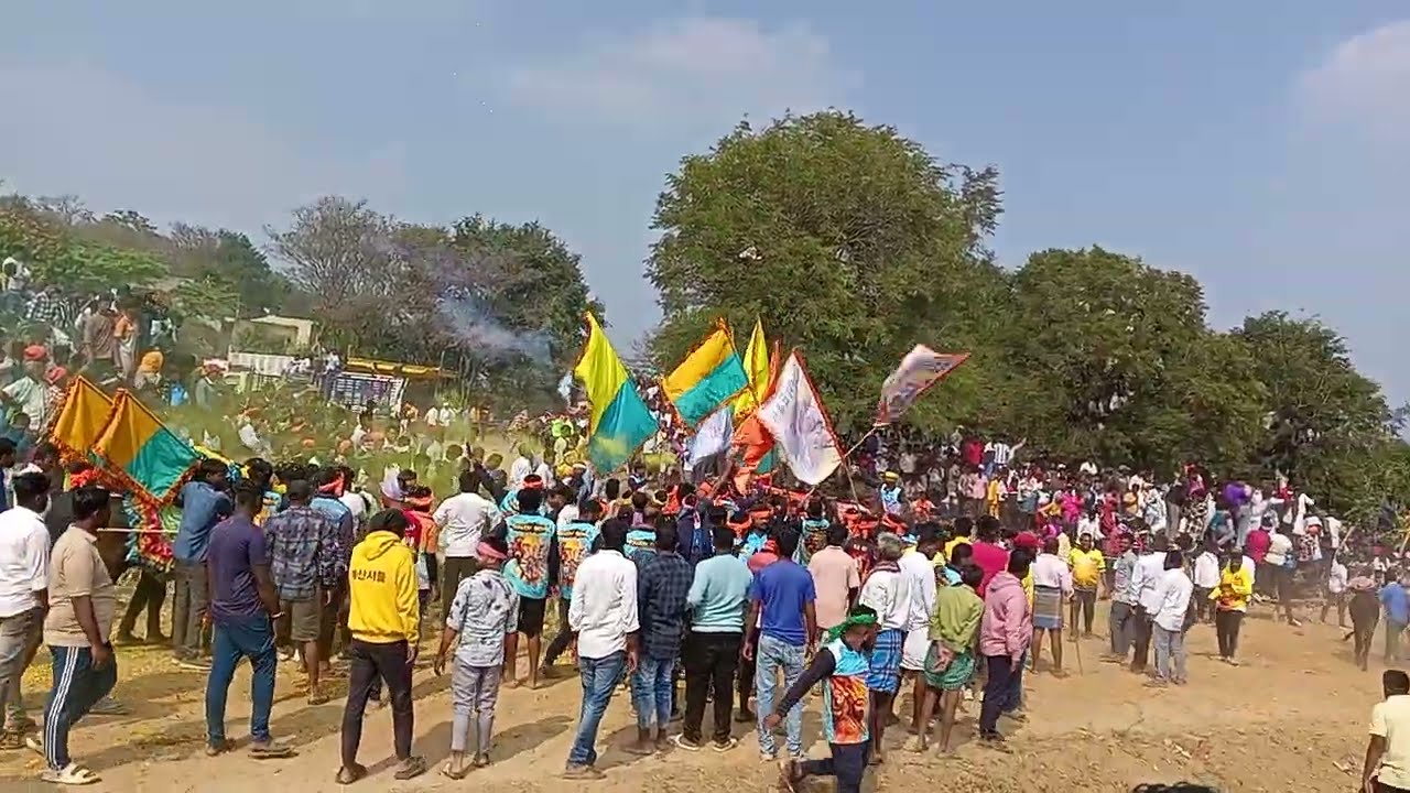 Hara hori gaa jaruguthuna Gudapalli 🐂 bull race