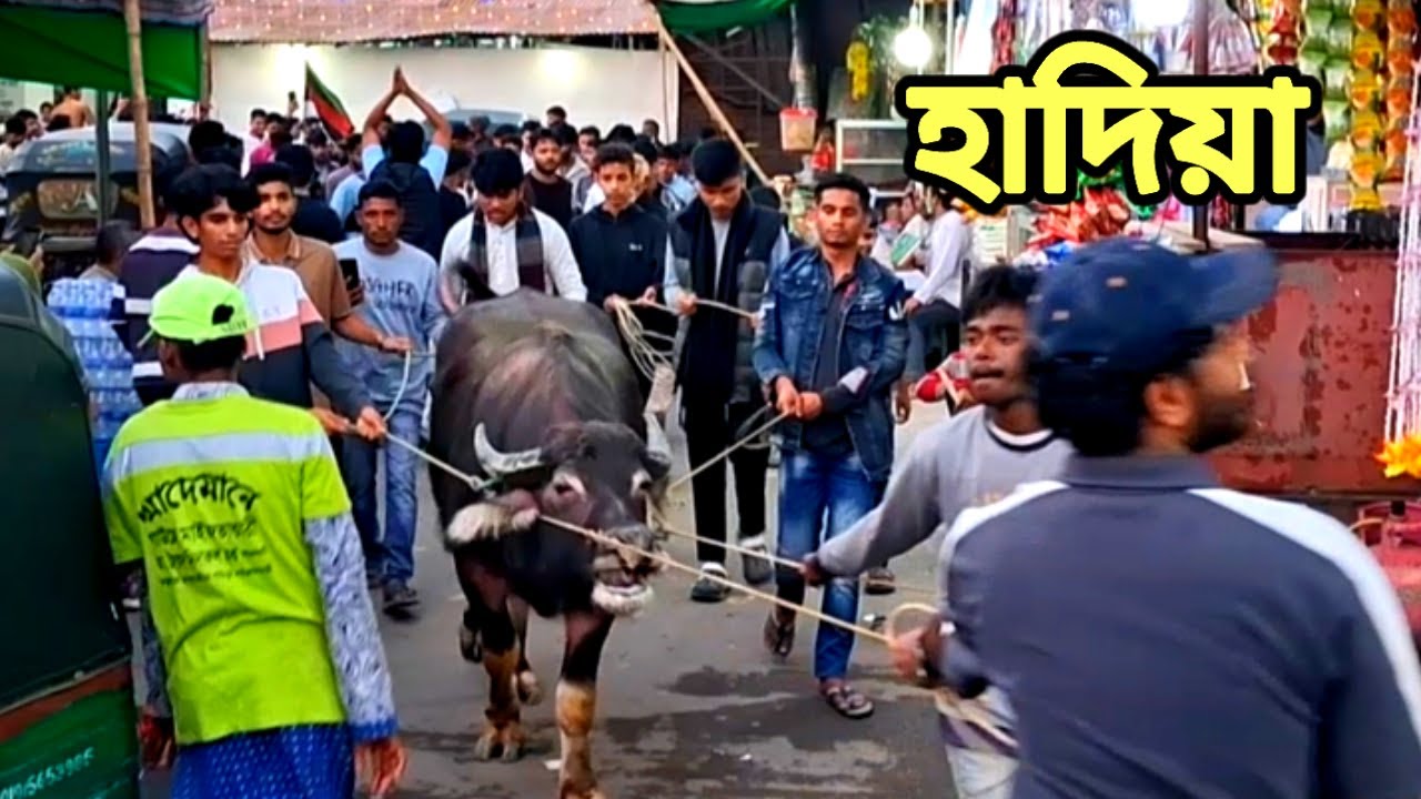হাদিয়া || Maizbhandar Darbar Sharif 2026