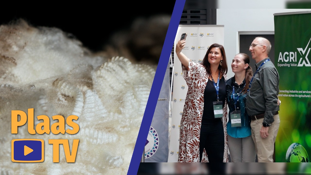 Poisonous plants, SA wool and industry research – Plaas TV, 11 Feb 2026