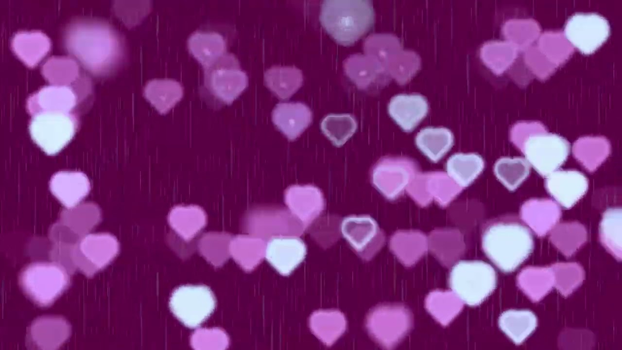 4K Falling Hearts Explosion in the Rain Raining Pink Copyright Free Stock Footage Free Download