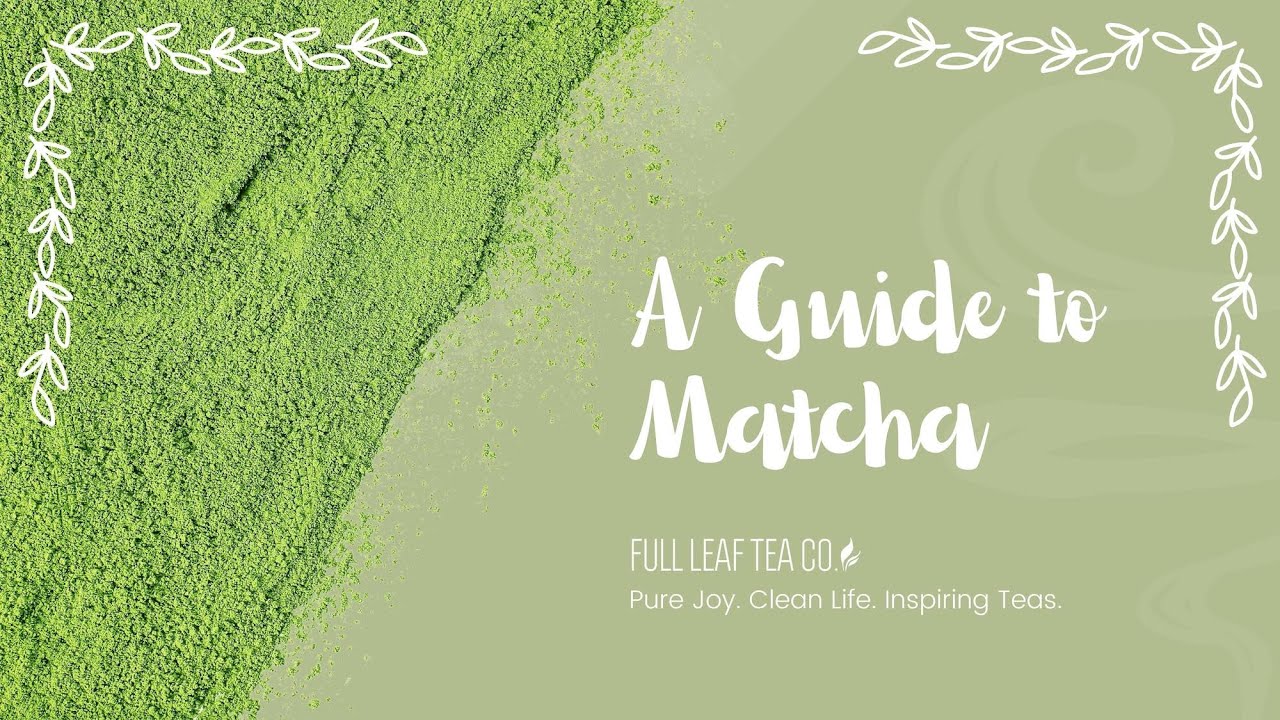 Fall in Love with Matcha 💚 | Complete Guide