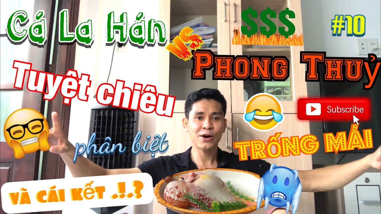 CÁ LA HÁN | FLOWERHORN | HƯỚNG DẪN PHÂN BIỆT TRỐNG MÁI | #10