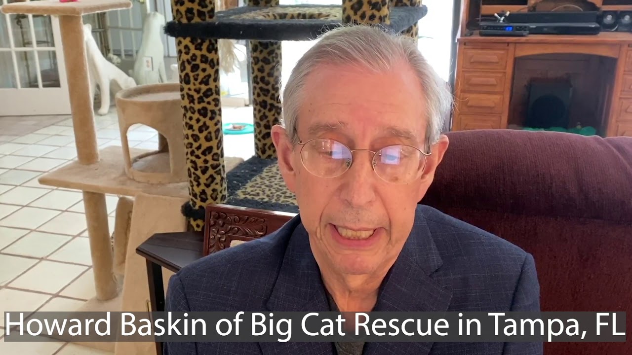 Howard Baskin OK Orders