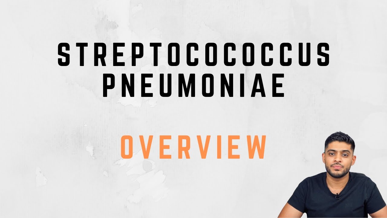 Streptococcus Pneumoniae Lecture Overview