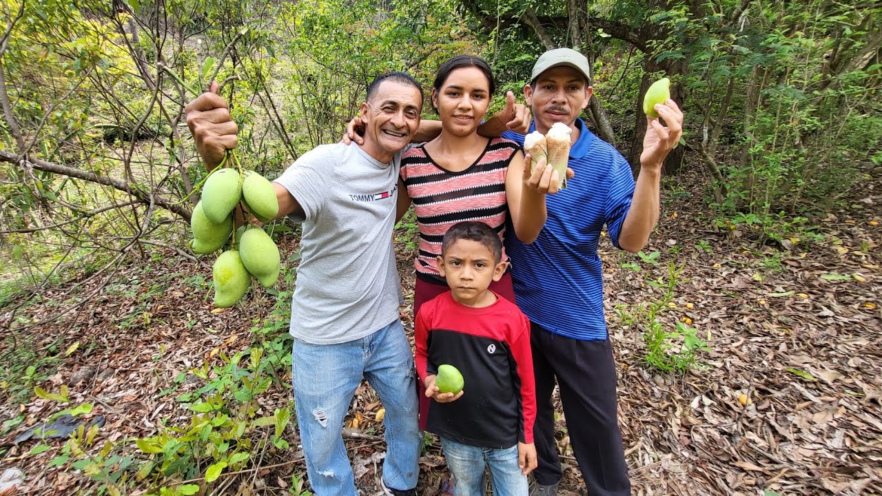 me fui con rosita a buscar mangos indios