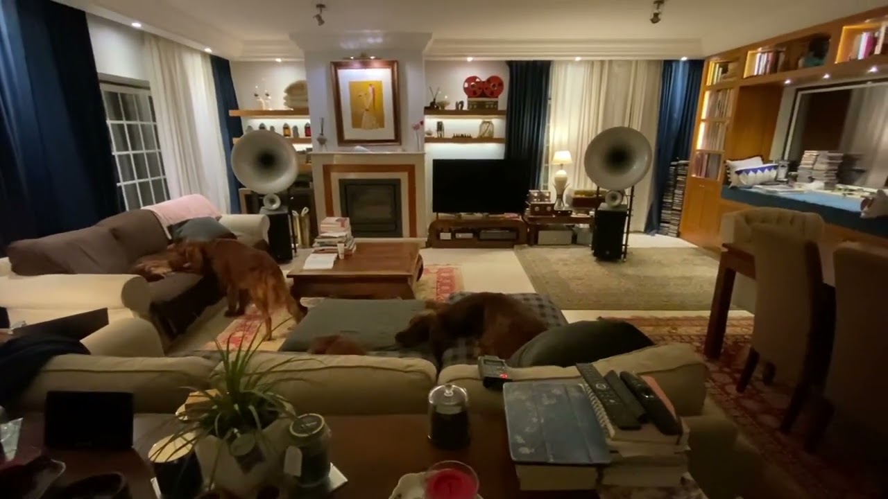 Upgraded ANK DAC 5.1 +Kondo Ongaku Homage Amp + AvantGarde Duo Omega -  La Traviata