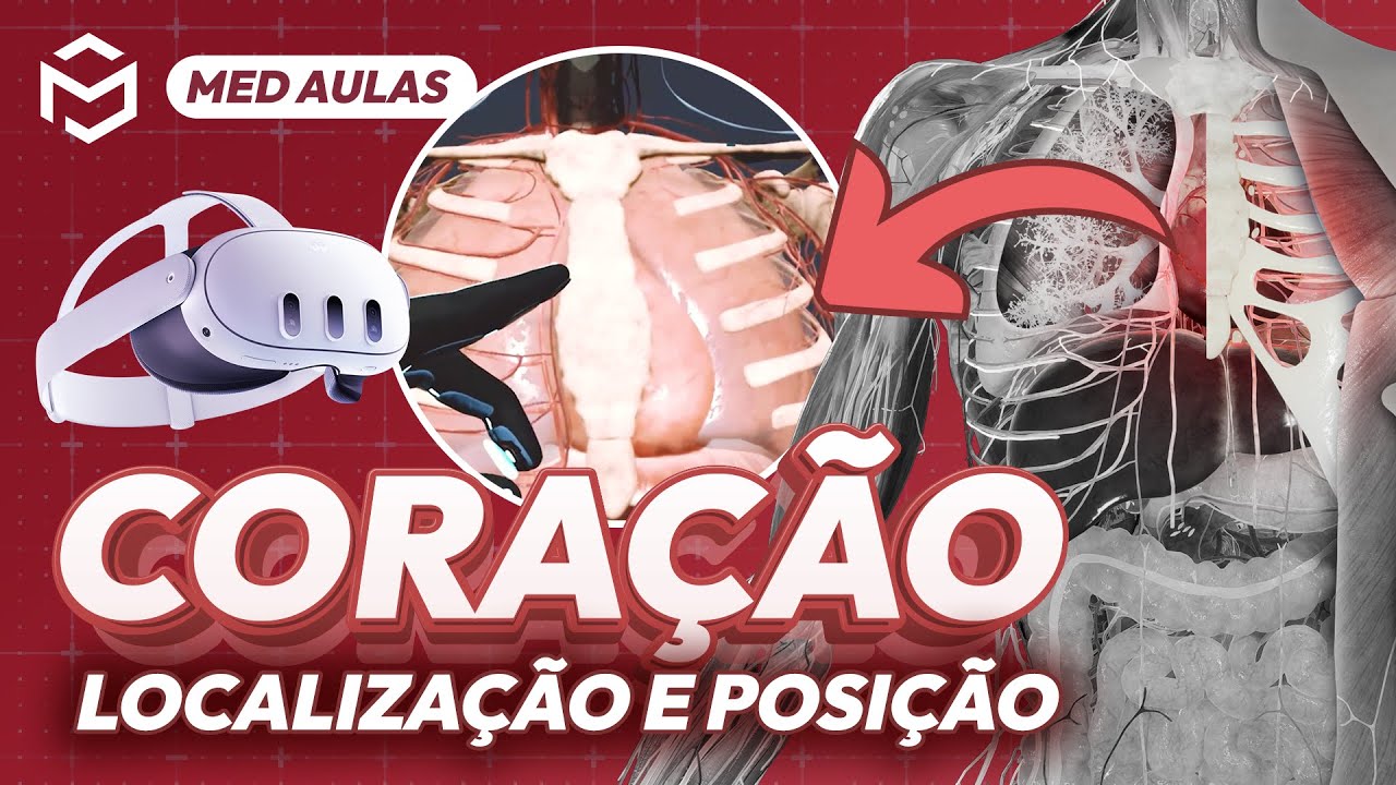 #MedAulas: Anatomia Humana em Realidade Virtual - Localização e posição do coração.