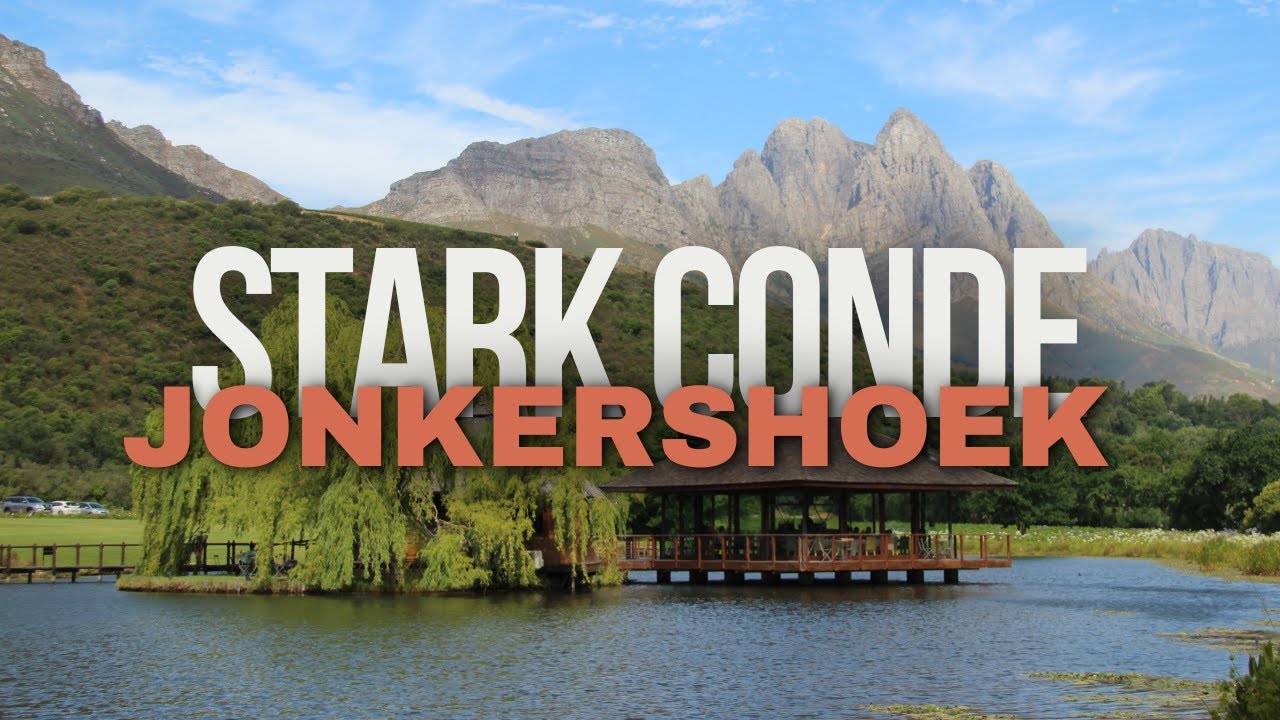 Hidden Gem di Stellenbosch 🍷 Stark-Condé Wine Estate