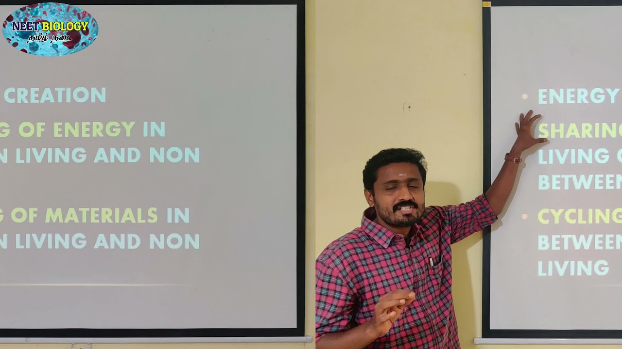FUNCTIONS OF ECOSYSTEM | TAMIL | ECOSYSTEM | STD 12