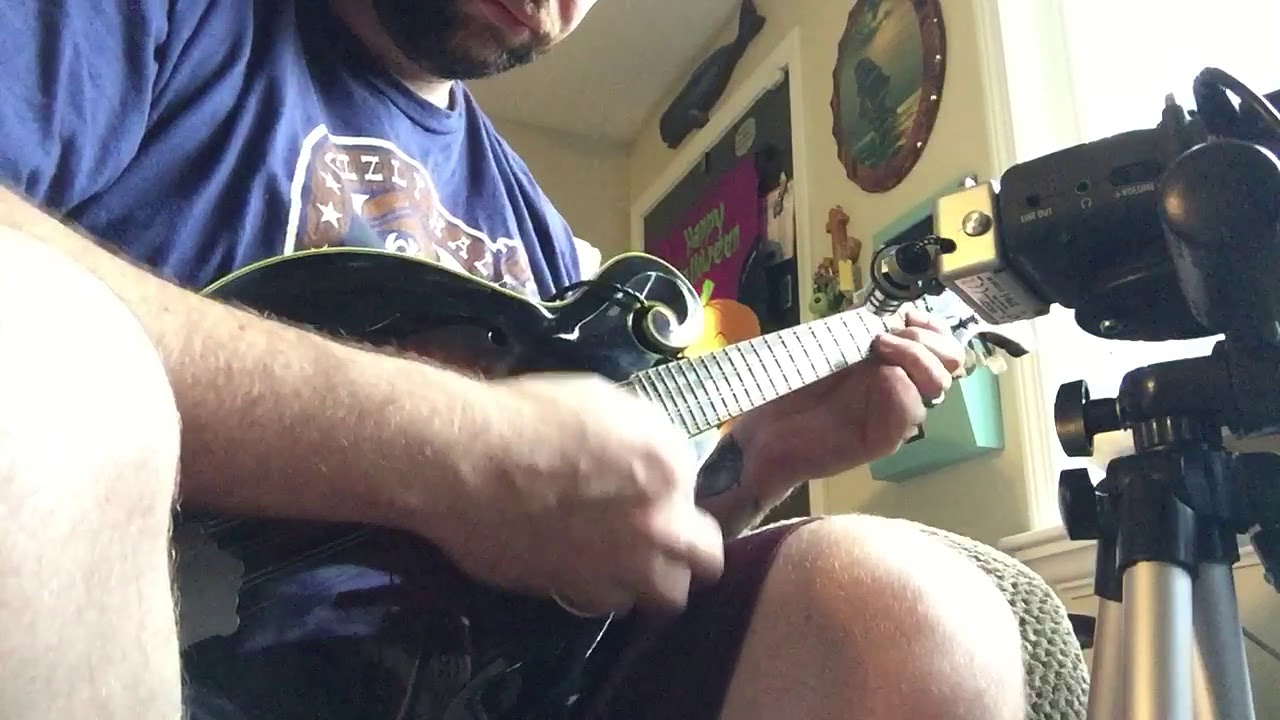 Wheel hoss mandolin
