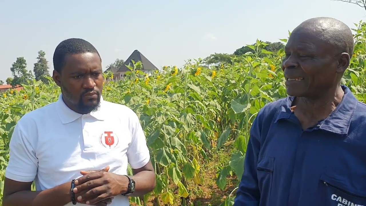 leader du tournesol au Cameroun, Edanga holding.. M. Edanga & Joseph Zambo
