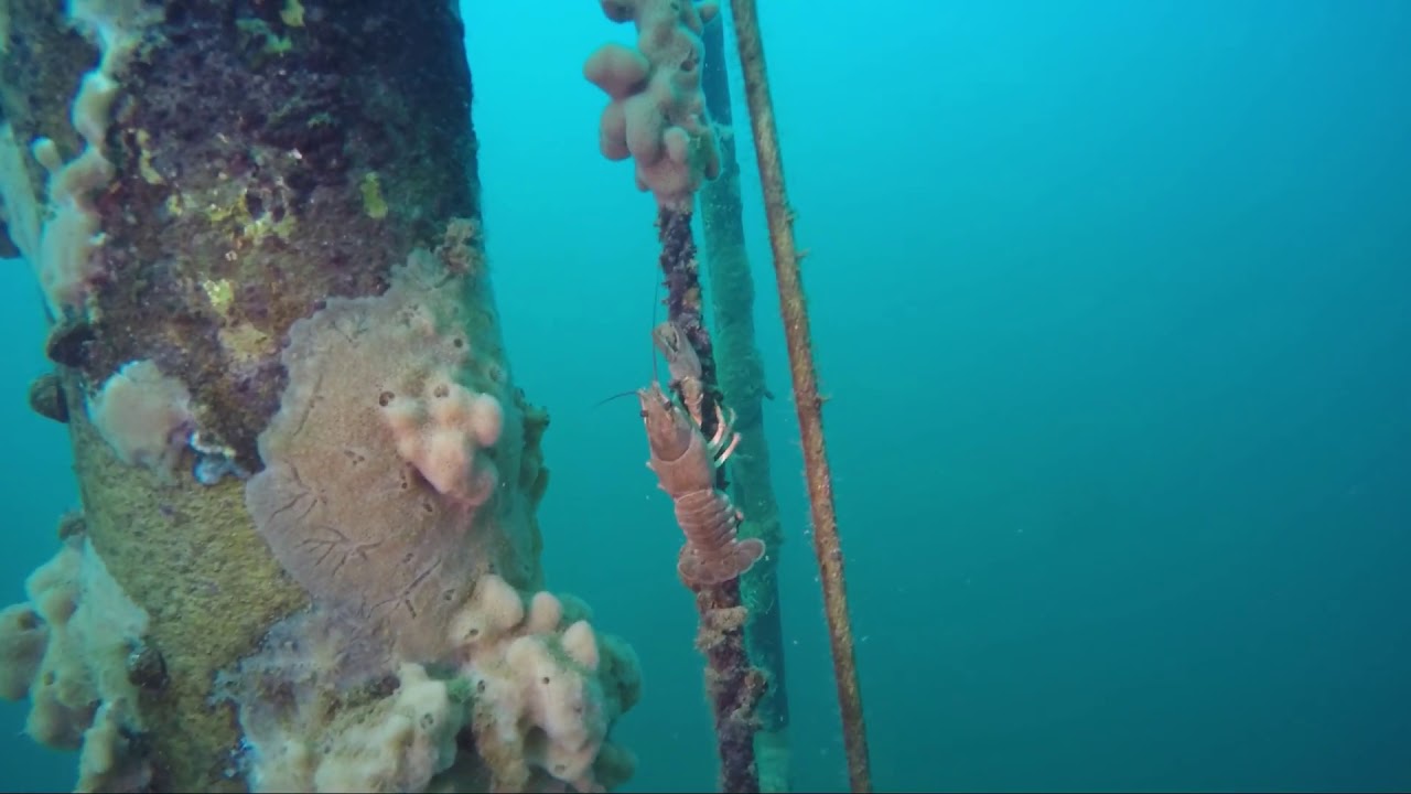 TSG Tauchfahrt nach Nordhausen - Herbst 2018