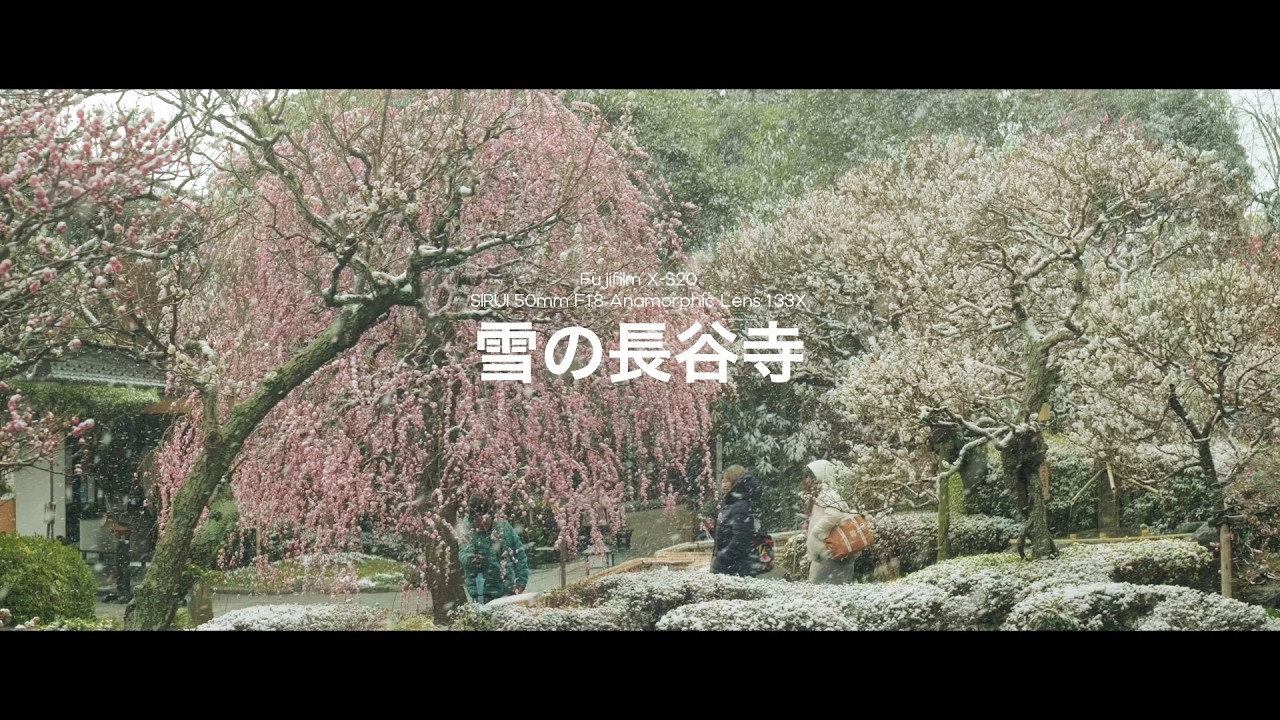 雪の長谷寺 | Fujifilm X-S20 | SIRUI 50mm F1.8 Anamorphic Lens 1.33X