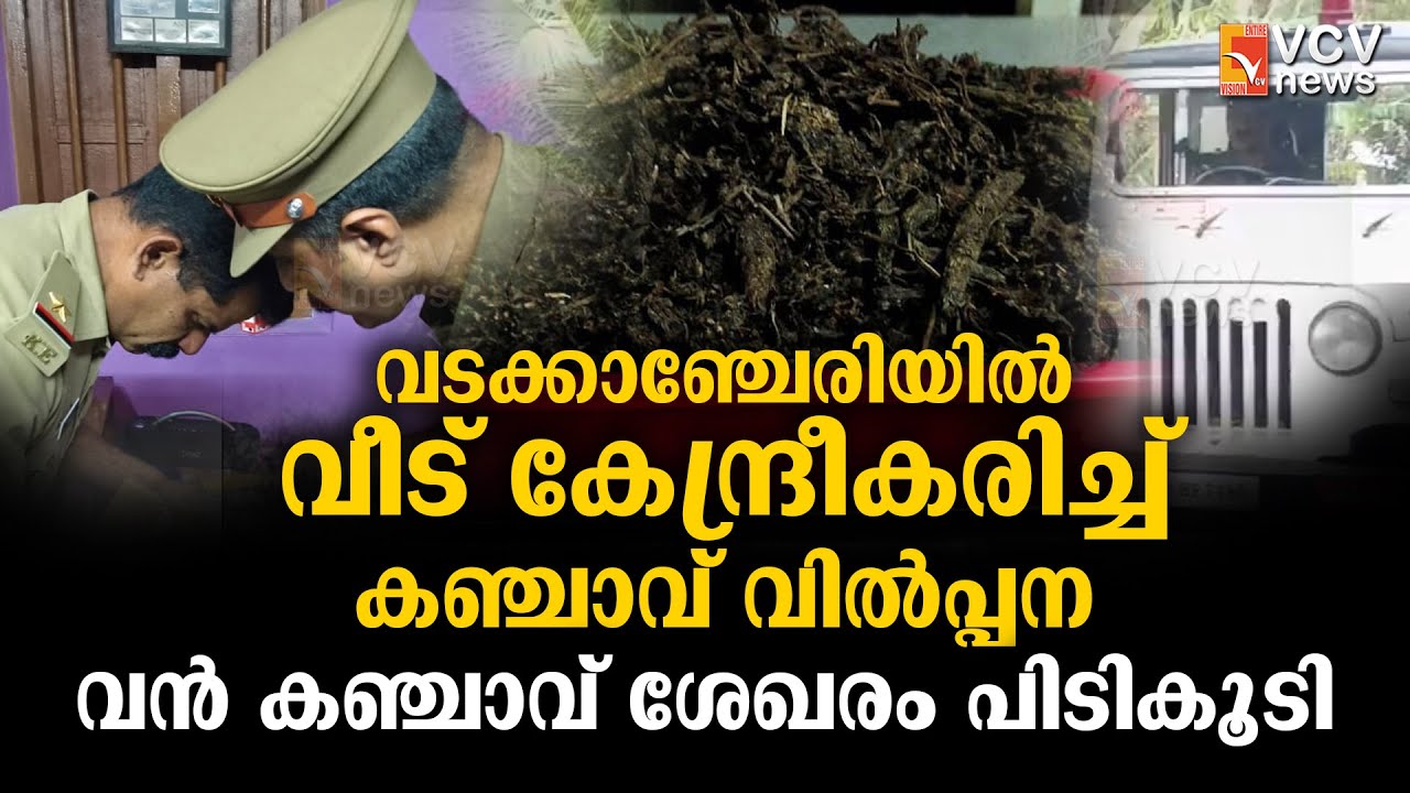 വടക്കാഞ്ചേരിയിൽ വീട് കേന്ദ്രീകരിച്ച് കഞ്ചാവ് വിൽപ്പന; പരിശോധനയിൽ വൻ കഞ്ചാവ് ശേഖരം പിടികൂടി