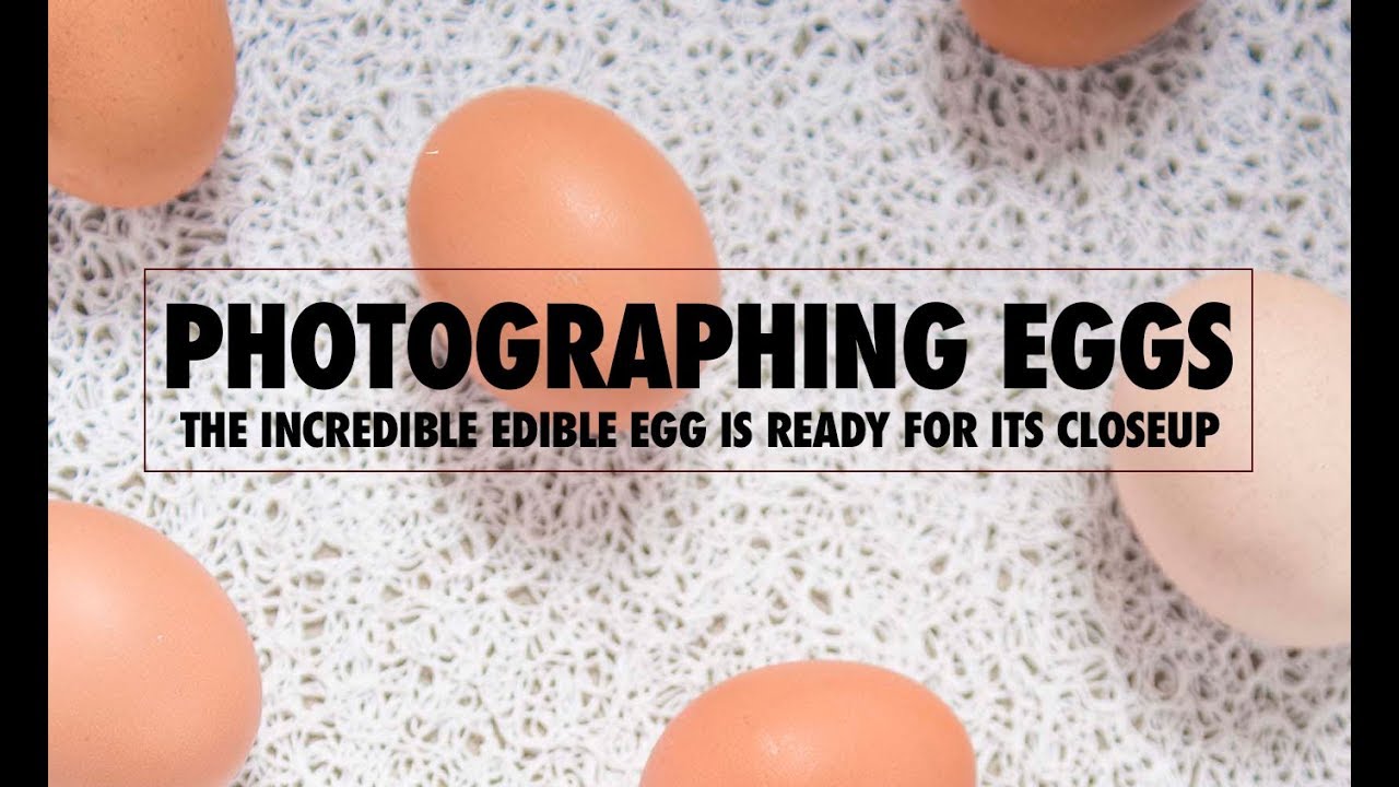 PHOTOGRAPHING EGGS: 7 SHOTS DECONSTRUCTED