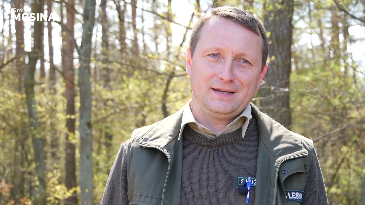 Mosina - NATURALNIE piękne miejsce odc. 3 - Sadzenie lasu - Nadleśnictwo Babki