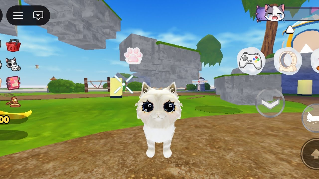 Cat fofo 🐈🩷