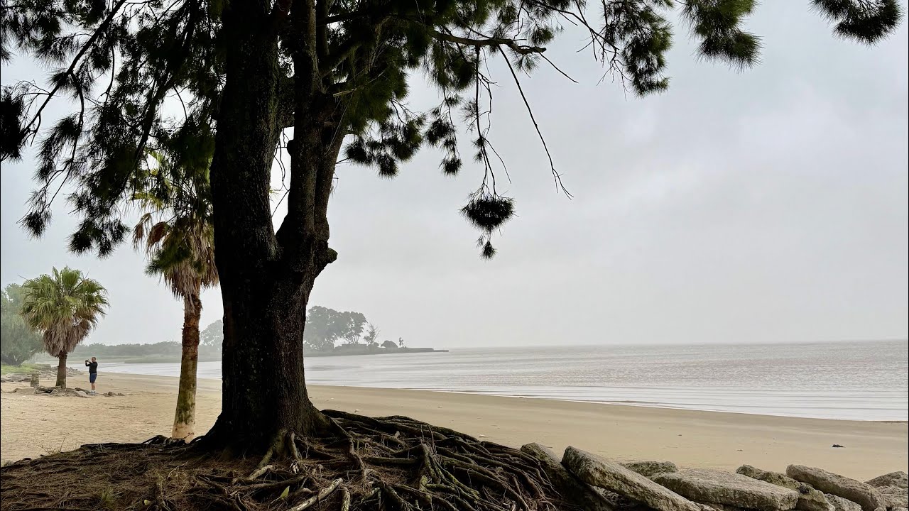 Punta Indio, naturaleza y playa