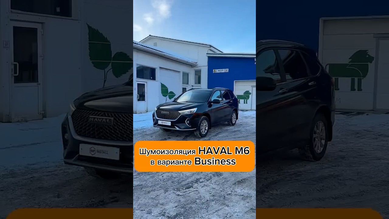 Как выглядит шумоизоляция за 68 тысяч? #шумоизоляция #елисейиванов #stpinstall