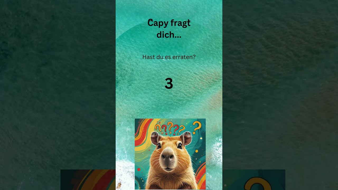 Capy fragt dich... R&auml;tsel 28  #r&auml;tsel #capibara #knifflig #fragen #quiz #r&auml;tselspa&szlig;