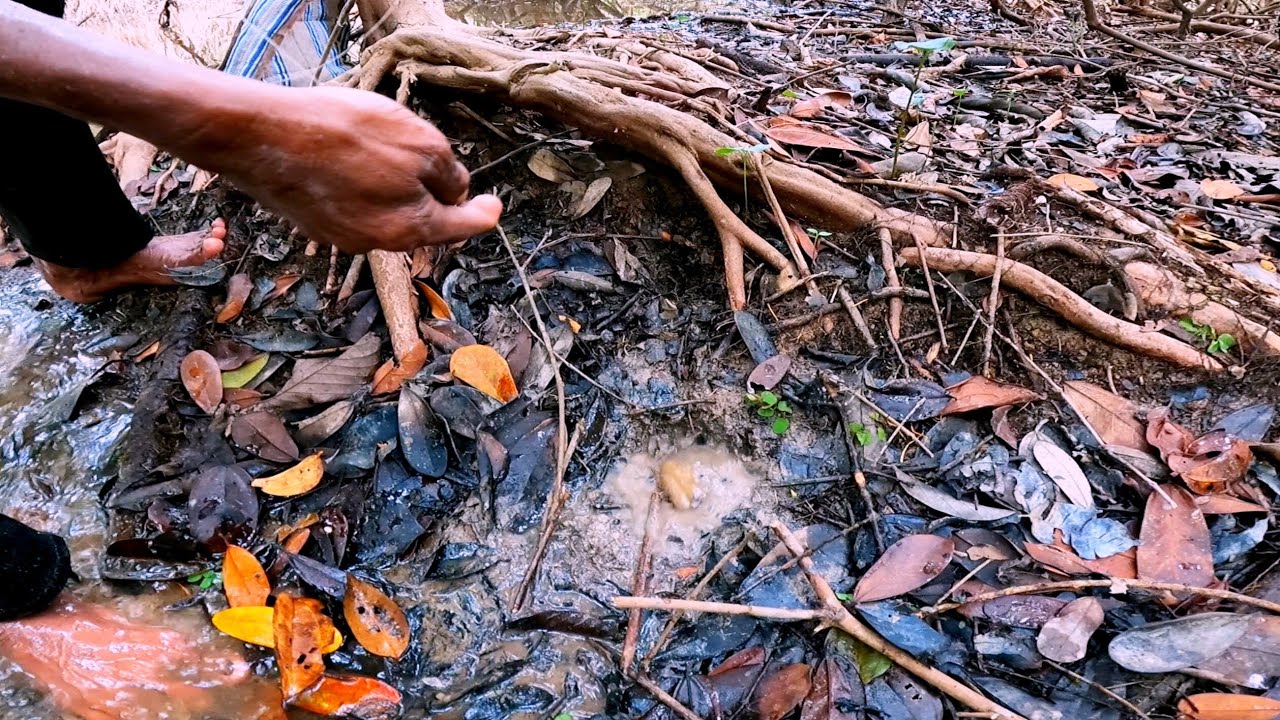 Ternyata ikan'nya kumpul disini 😱😱 || Tajur lembat babon di lubang  || Mancing lembat 