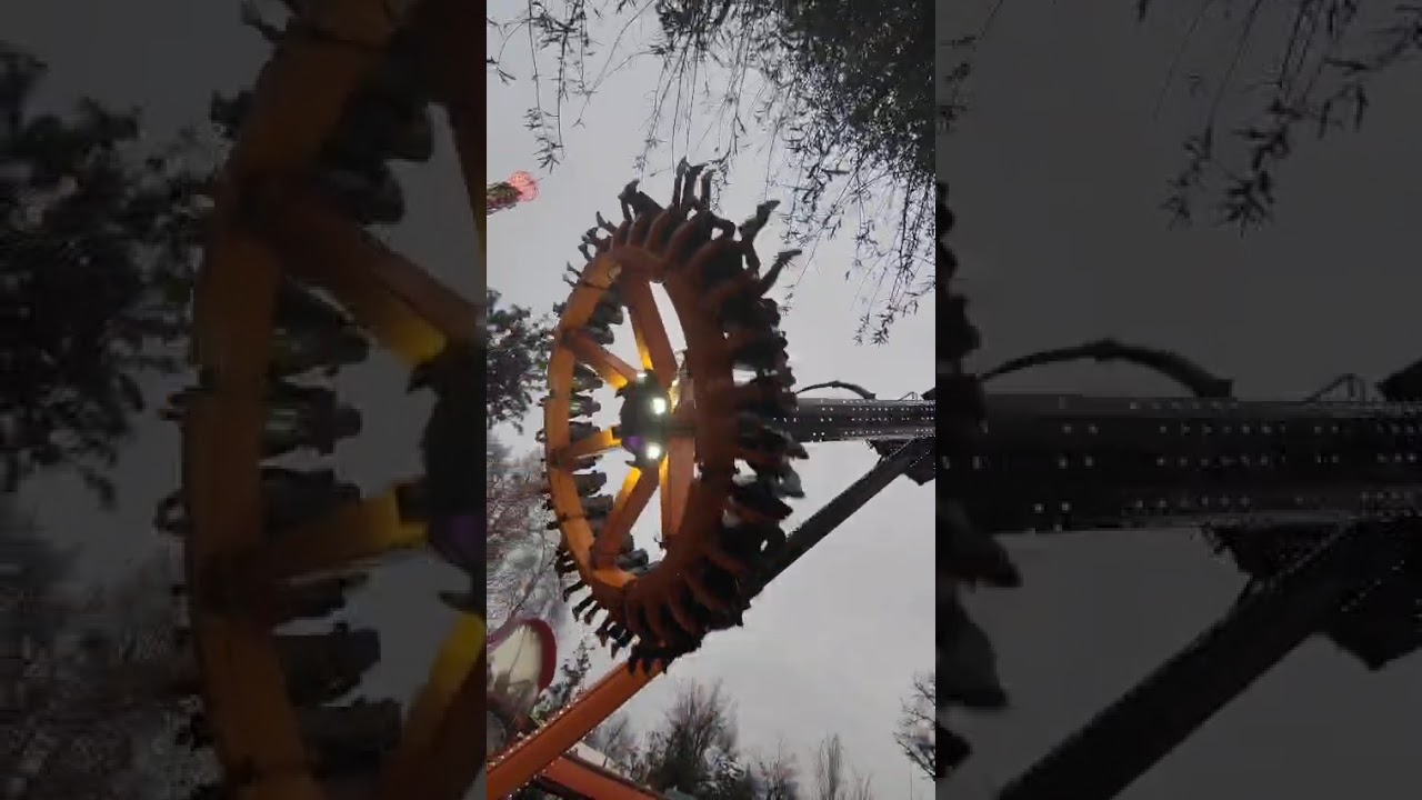 Fantasilandia (Spider) 2025