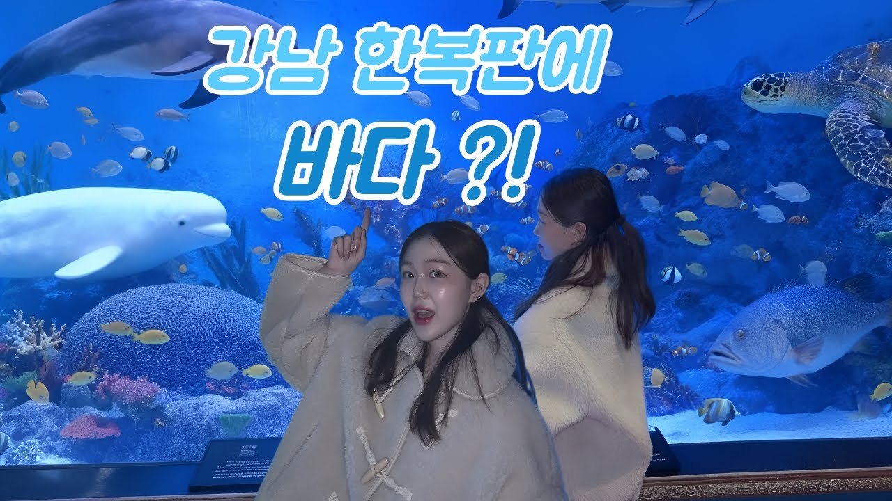 강남 한복판에 바다가 있었다… 코엑스 아쿠아리움 10년만에 다시 가봄