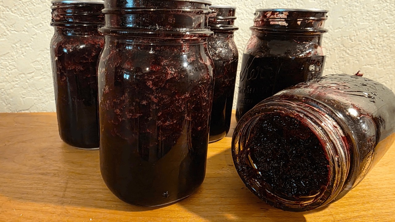 LOW SUGAR Blueberry Jam Pomona's Pectin // Beginner Friendly Canning Recipe