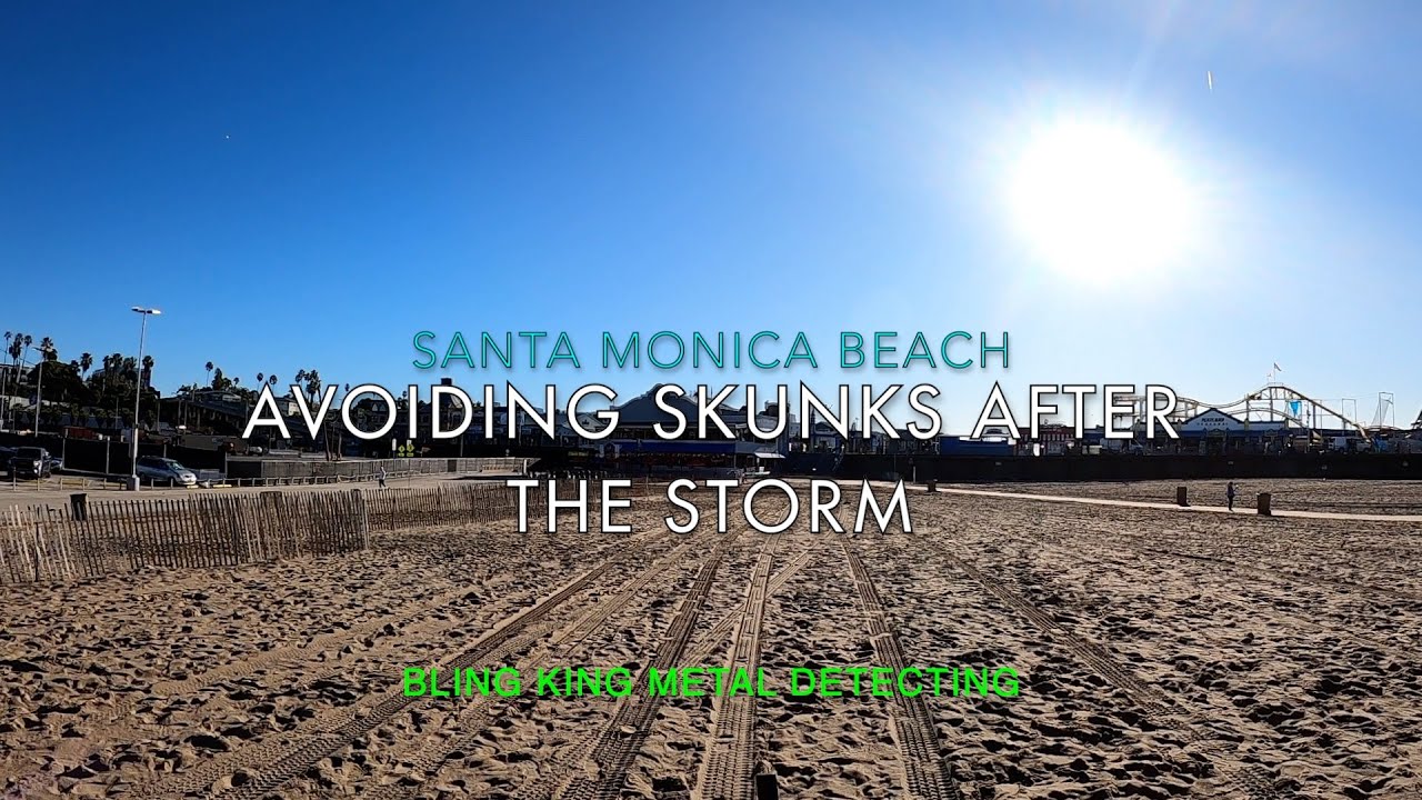 Avoiding Skunks After The Storm - Santa Monica, CA