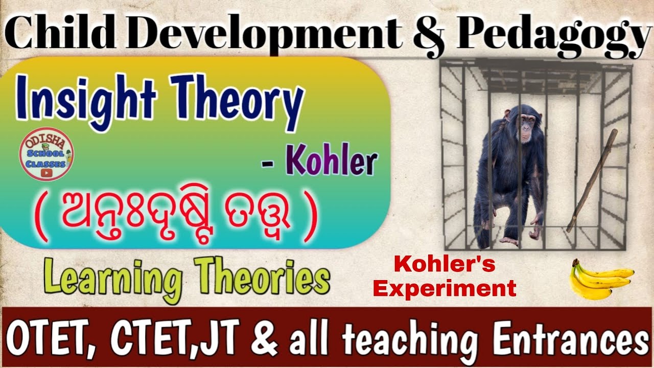 Insight Theory in Odia📝CDP Learning Theories by Odisha School Classes