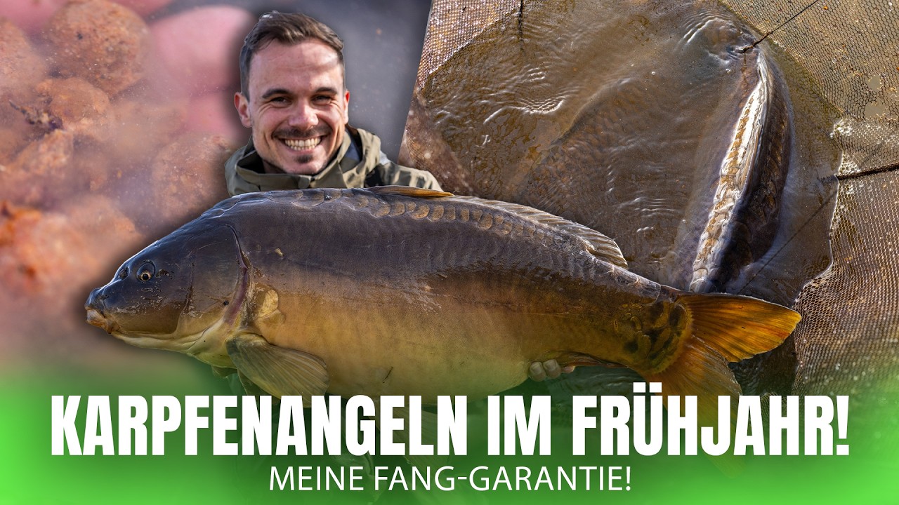 Vermeide diese Fehler beim Karpfenangeln im Fr&uuml;hjahr! 😎