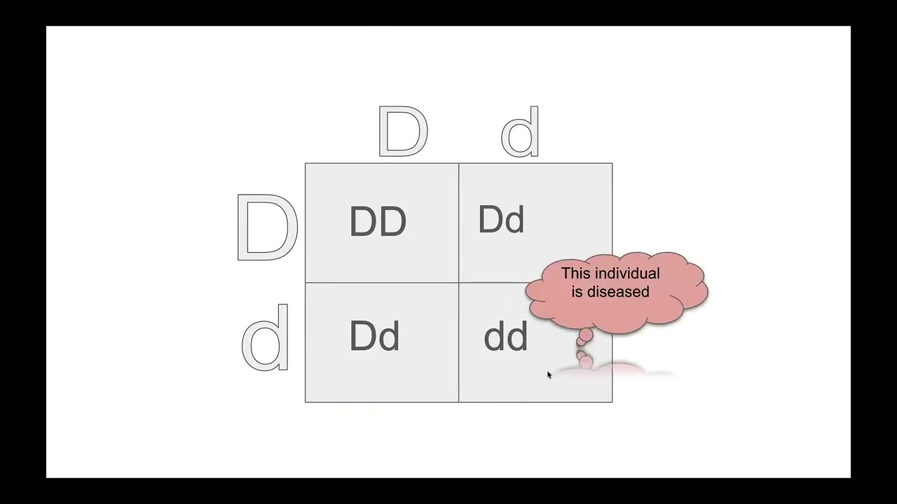 Lesson 08, Tech to Try: Creating Instructional Videos