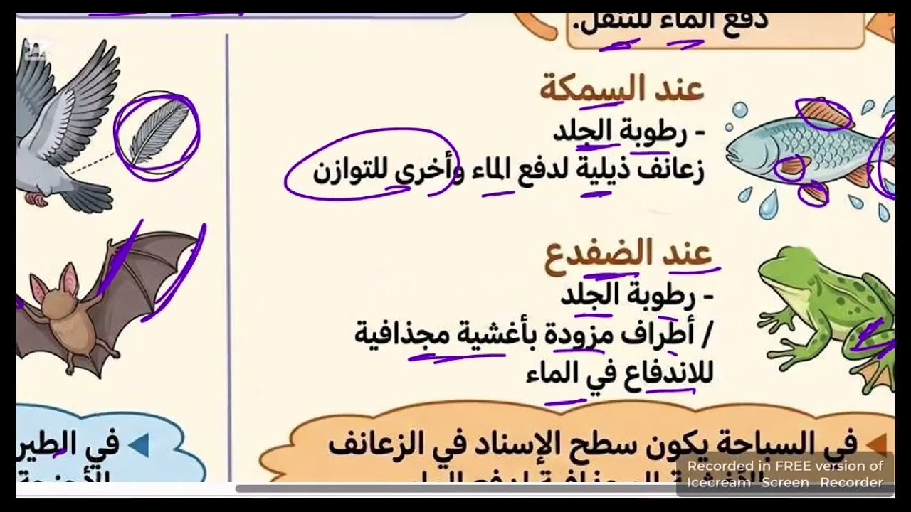 السنة2️⃣ متوسط : التنقل عند الحيوانات 💤