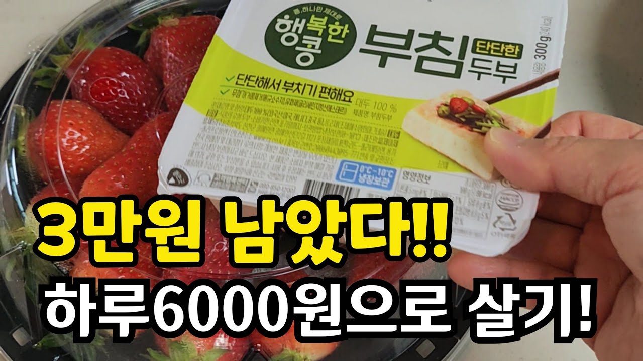 3만원 남았다!!마이너스는 안돼!!   하루 6000원이 답이다!! [4인가족 절약 브이로그]