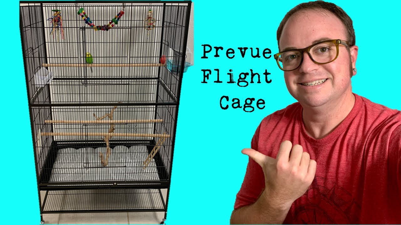 Amateur Prevue Flight Cage Review - Best Budgie Parrot Flight Cage