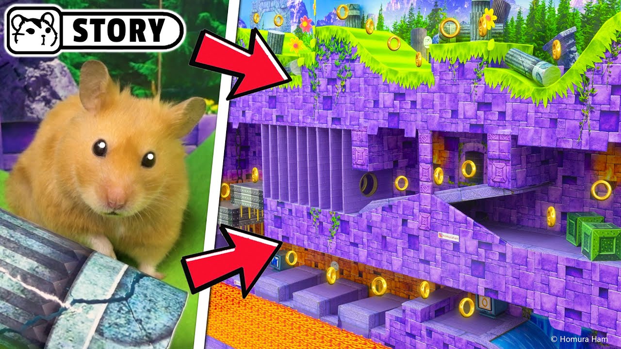 Sonic hamster maze Ep.3 🐹 Homura Ham
