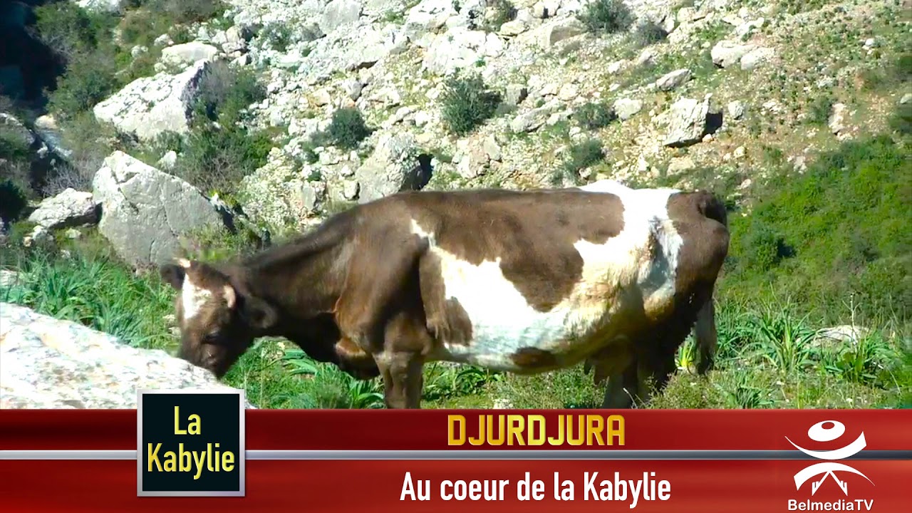 La Kabylie /Tamda ouguelmim, Djurdjura / chanson de Hakim Oussedik / Tayri