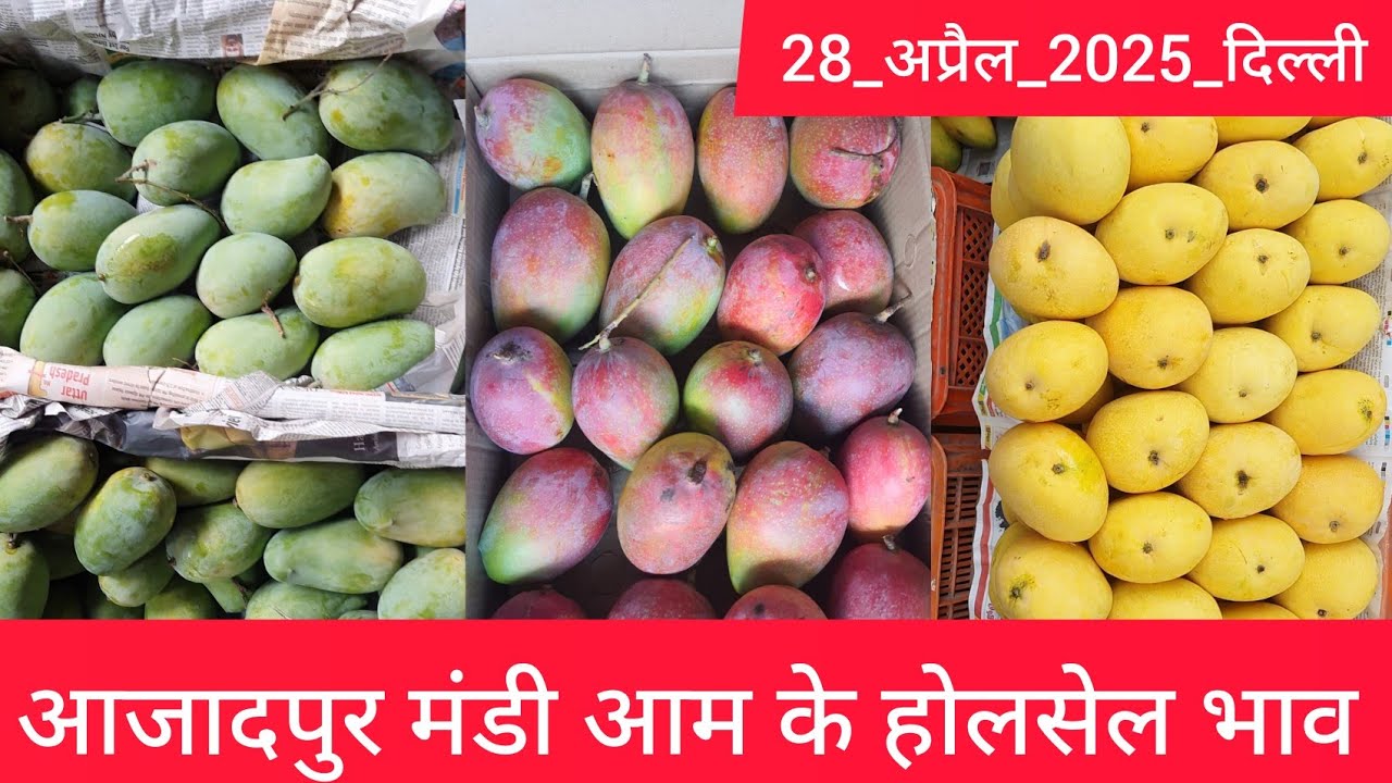 April 28, 2025 दिल्ली 🥭 आम के भाव delhi mango market price 