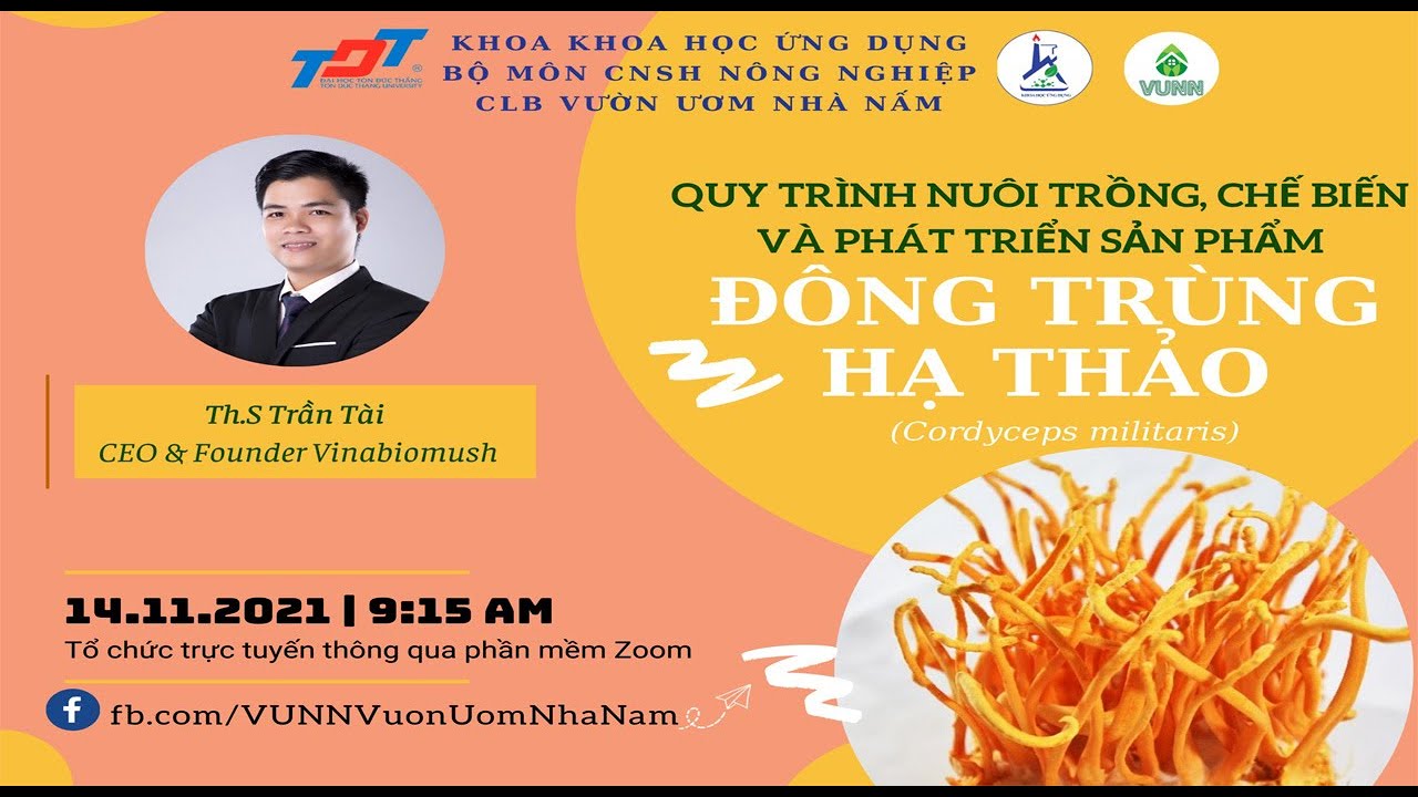 Quy Tr&igrave;nh C&ocirc;ng Nghệ Sản Xuất Nấm Đ&ocirc;ng Tr&ugrave;ng Hạ Thảo| VINABIOMUSH