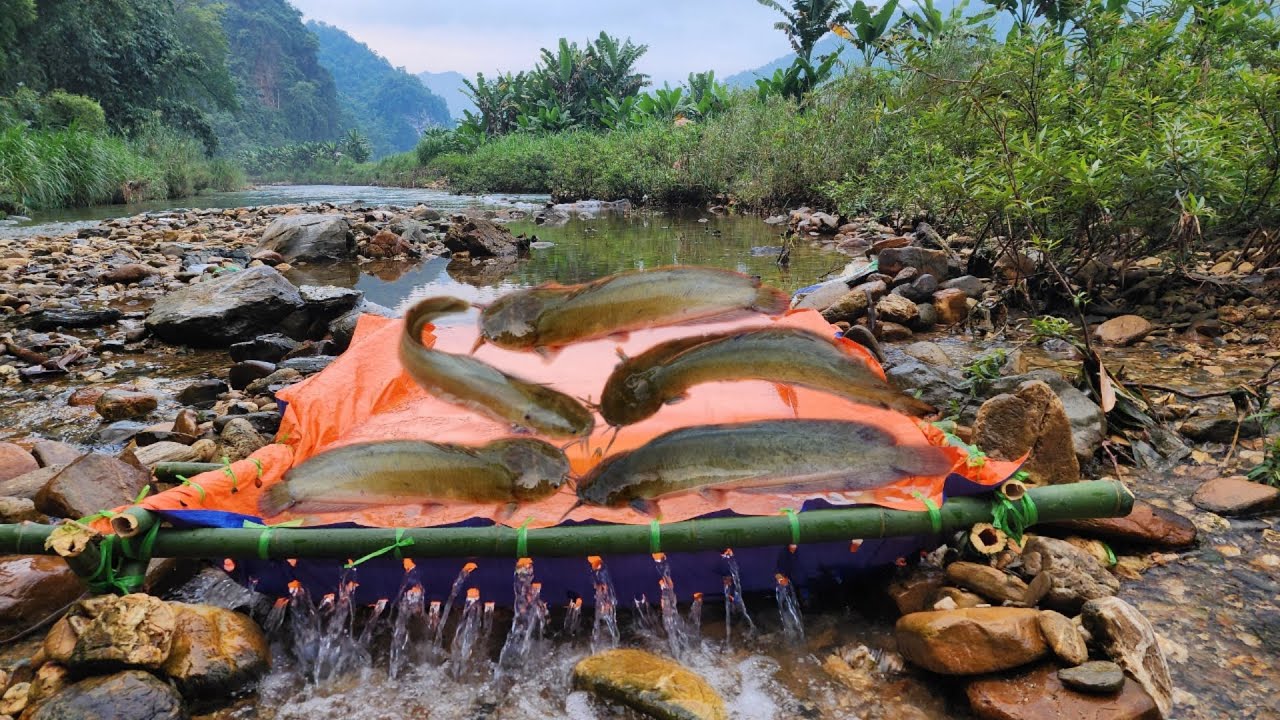 The simplest fishing technique with just a tarp, caught a lot of fish in the stream. | Ana fishing