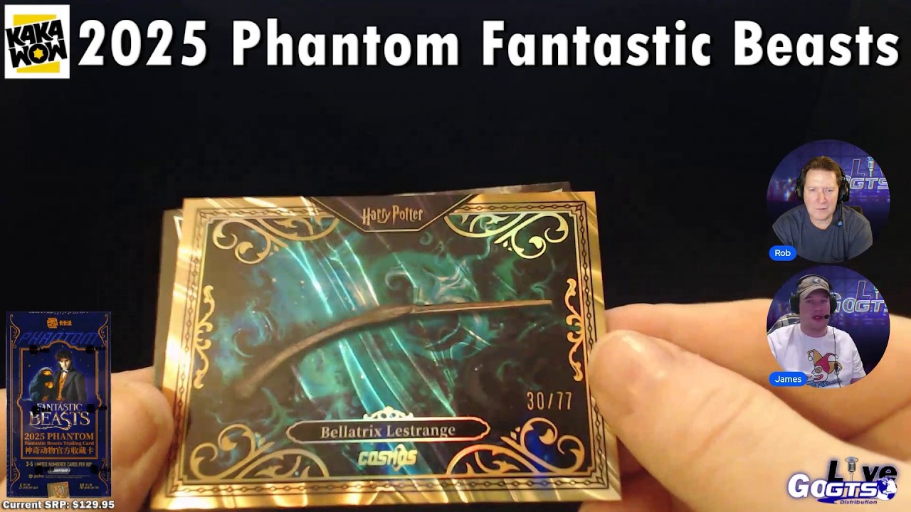 Box Break | 2025 Kakawow Harry Potter Fantastic Beasts Cosmos