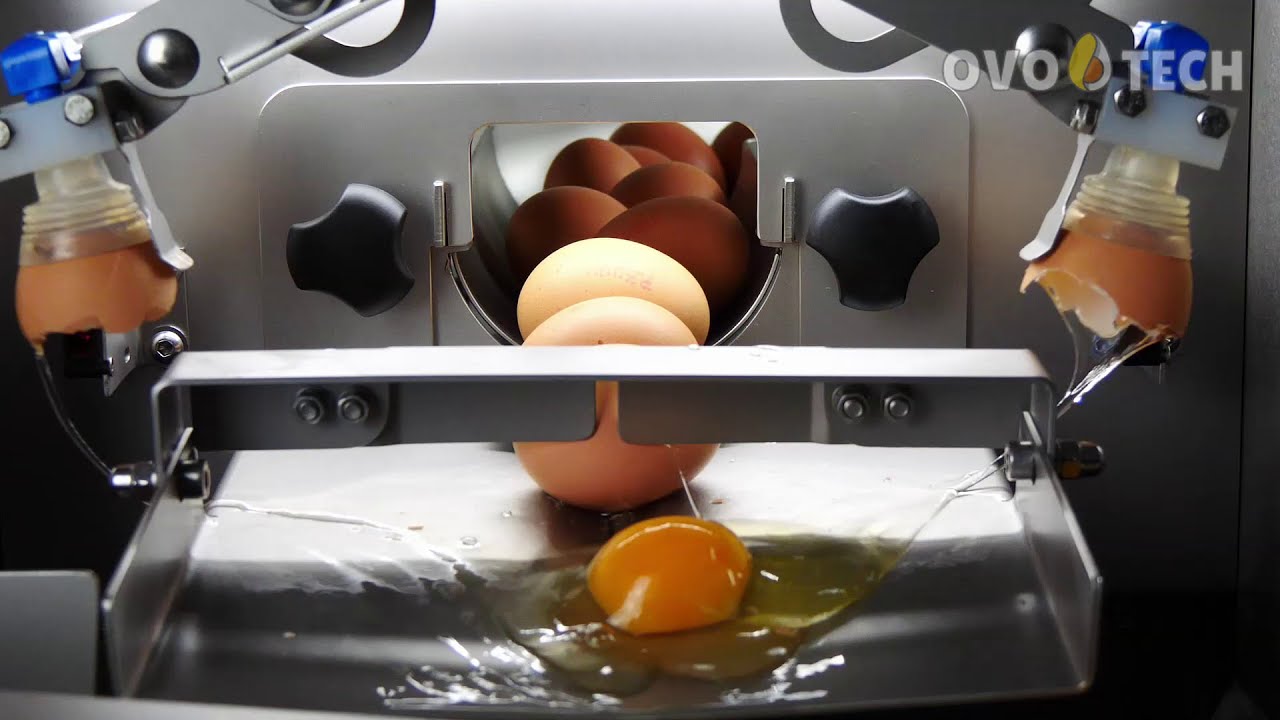 RZ-0 egg breaker with egg whites from yolks separation. Machine efficiency: 2020 eggs/hour