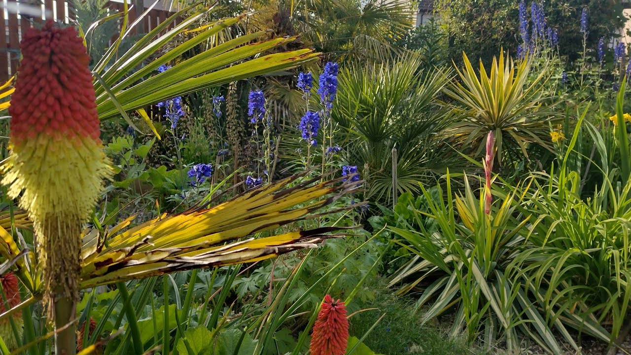 UK Exotic garden tour February 2026