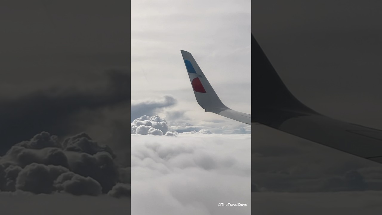 Flying Into Dreamy Clouds ☁️✈️ 