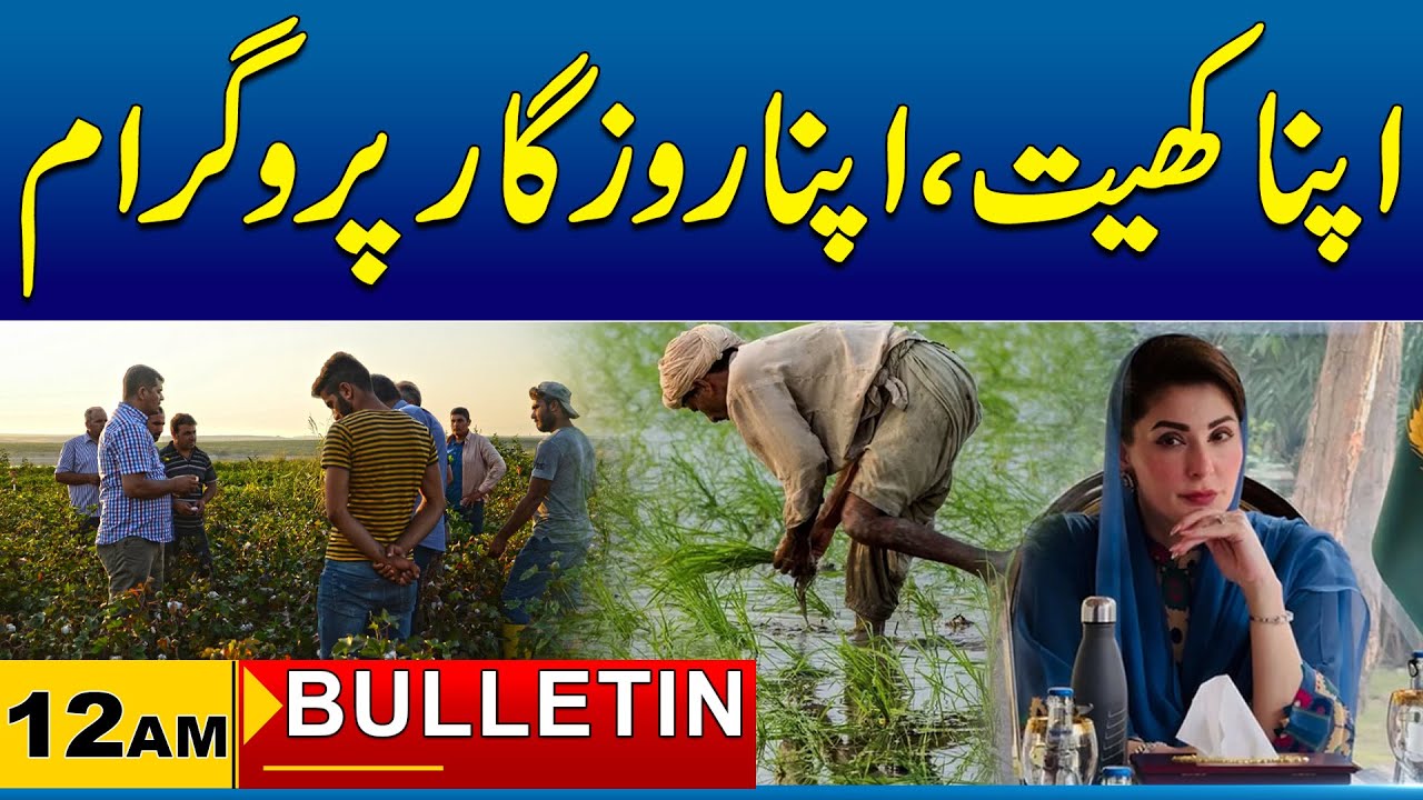 12AM News Bulletin I 24 Jan 2026 I City 41