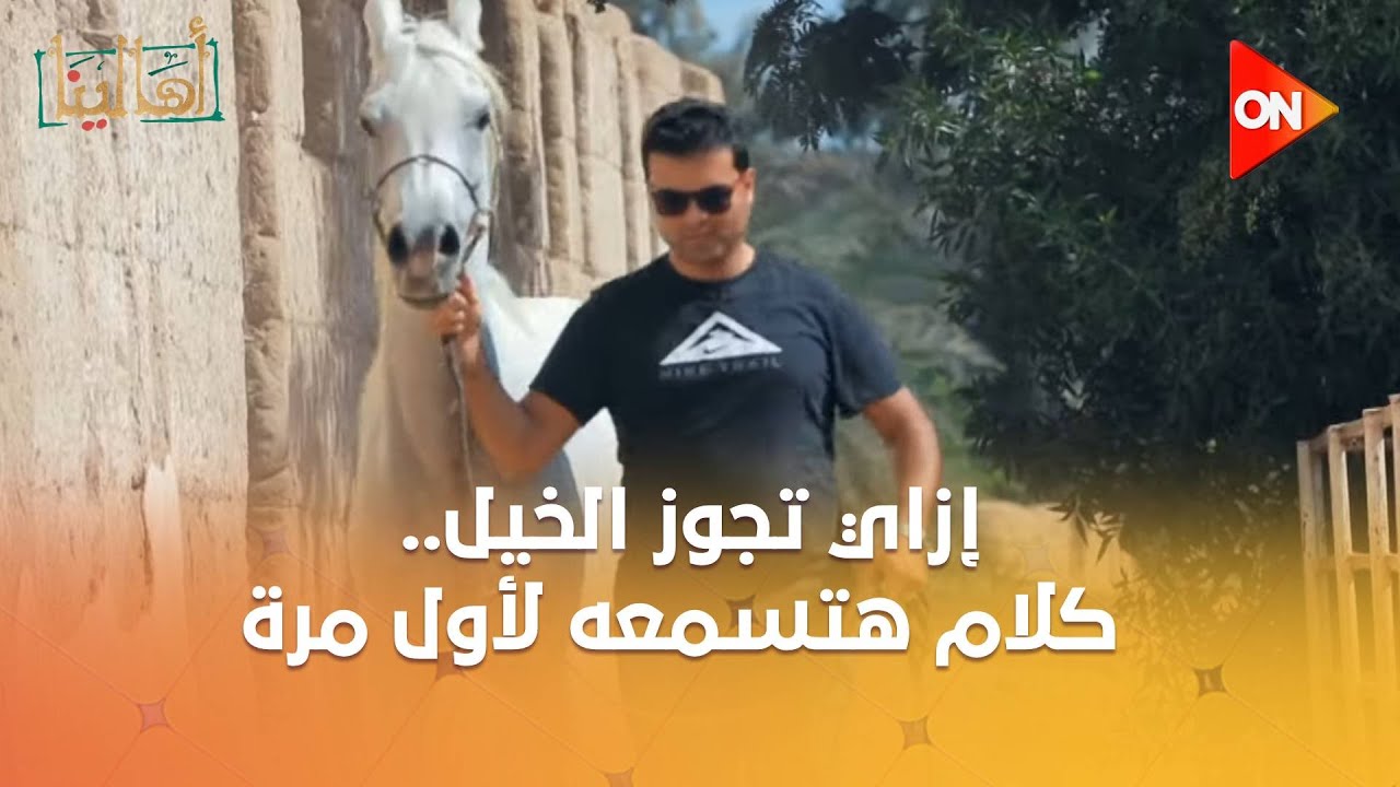 أهالينا - إزاي تجوز الخيل.. كلام هتسمعه لأول مرة