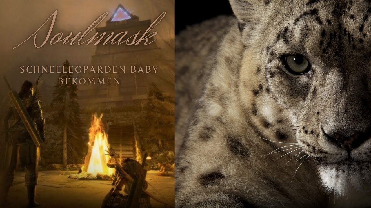 Schneeleopardenbaby bekommen in Soulmask